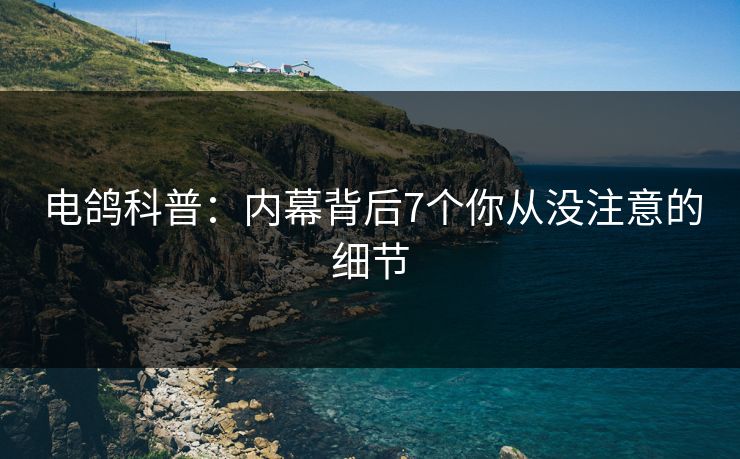 电鸽科普：内幕背后7个你从没注意的细节