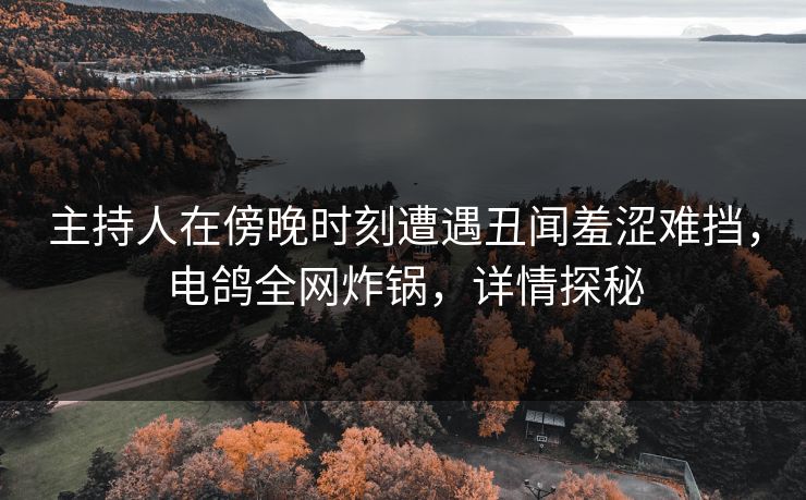主持人在傍晚时刻遭遇丑闻羞涩难挡，电鸽全网炸锅，详情探秘