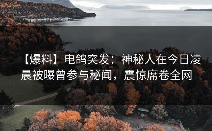 【爆料】电鸽突发：神秘人在今日凌晨被曝曾参与秘闻，震惊席卷全网