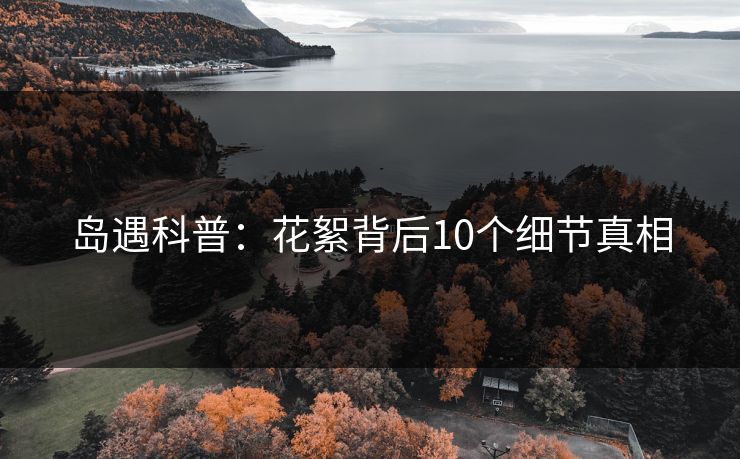 岛遇科普：花絮背后10个细节真相