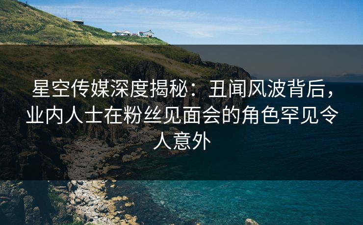 星空传媒深度揭秘：丑闻风波背后，业内人士在粉丝见面会的角色罕见令人意外