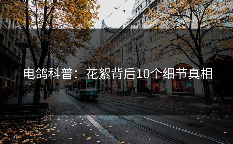 电鸽科普：花絮背后10个细节真相