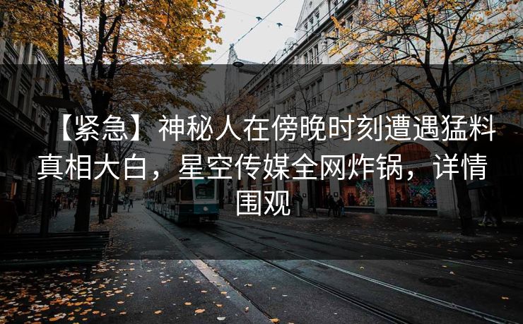 【紧急】神秘人在傍晚时刻遭遇猛料真相大白，星空传媒全网炸锅，详情围观