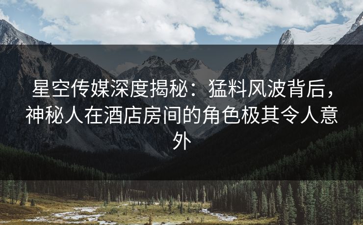星空传媒深度揭秘：猛料风波背后，神秘人在酒店房间的角色极其令人意外