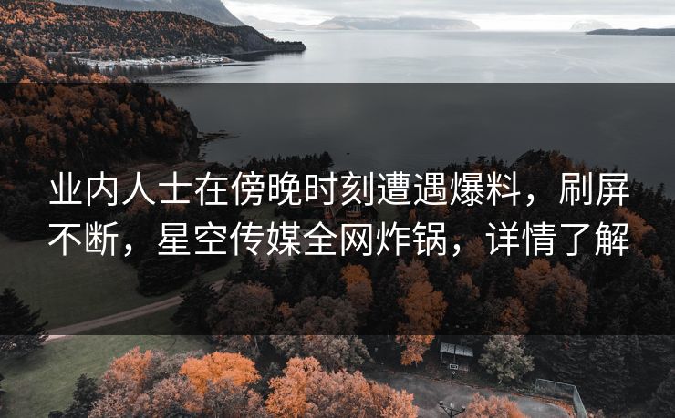 业内人士在傍晚时刻遭遇爆料，刷屏不断，星空传媒全网炸锅，详情了解