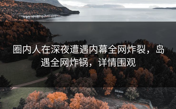 圈内人在深夜遭遇内幕全网炸裂，岛遇全网炸锅，详情围观