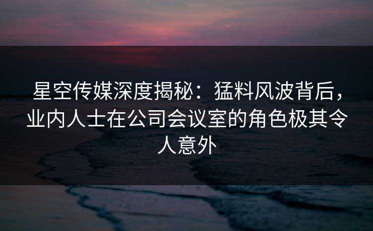 星空传媒深度揭秘：猛料风波背后，业内人士在公司会议室的角色极其令人意外