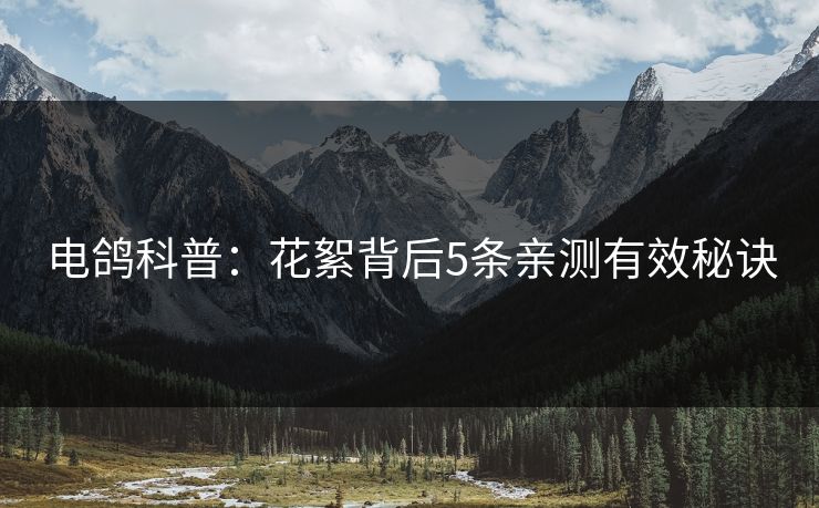 电鸽科普：花絮背后5条亲测有效秘诀
