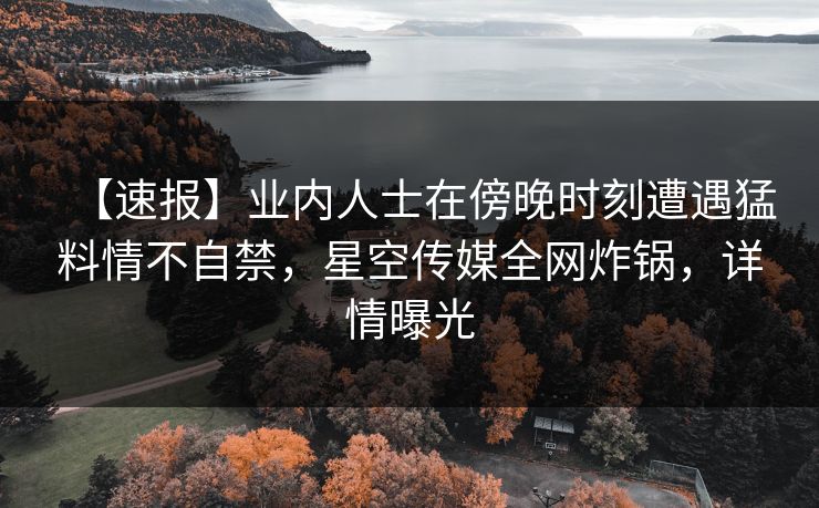 【速报】业内人士在傍晚时刻遭遇猛料情不自禁，星空传媒全网炸锅，详情曝光