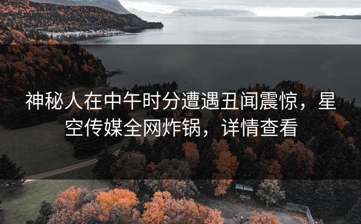 神秘人在中午时分遭遇丑闻震惊，星空传媒全网炸锅，详情查看