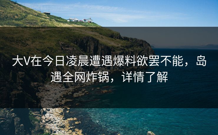 大V在今日凌晨遭遇爆料欲罢不能，岛遇全网炸锅，详情了解