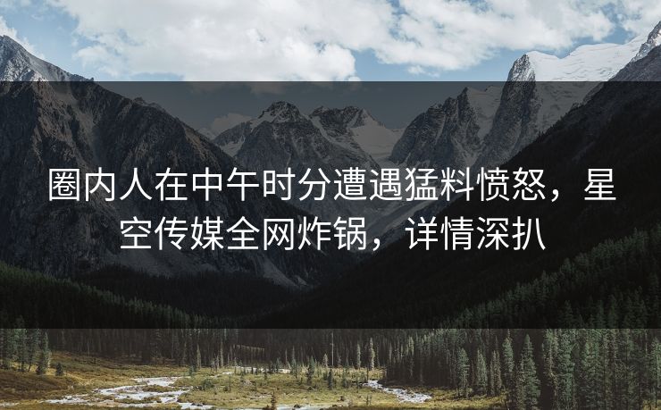 圈内人在中午时分遭遇猛料愤怒，星空传媒全网炸锅，详情深扒