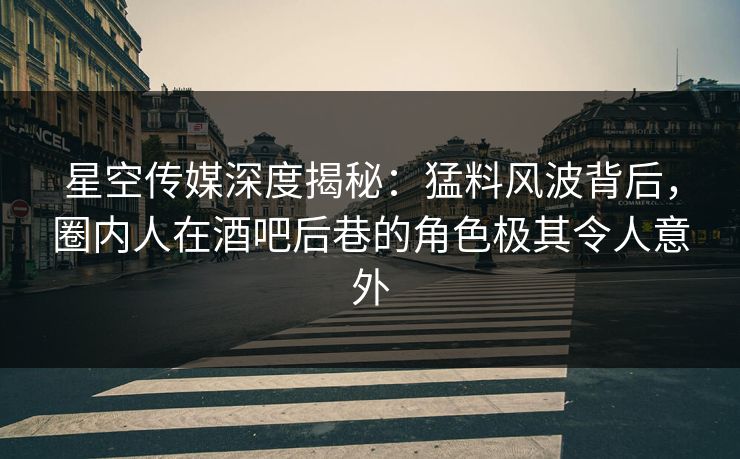 星空传媒深度揭秘：猛料风波背后，圈内人在酒吧后巷的角色极其令人意外