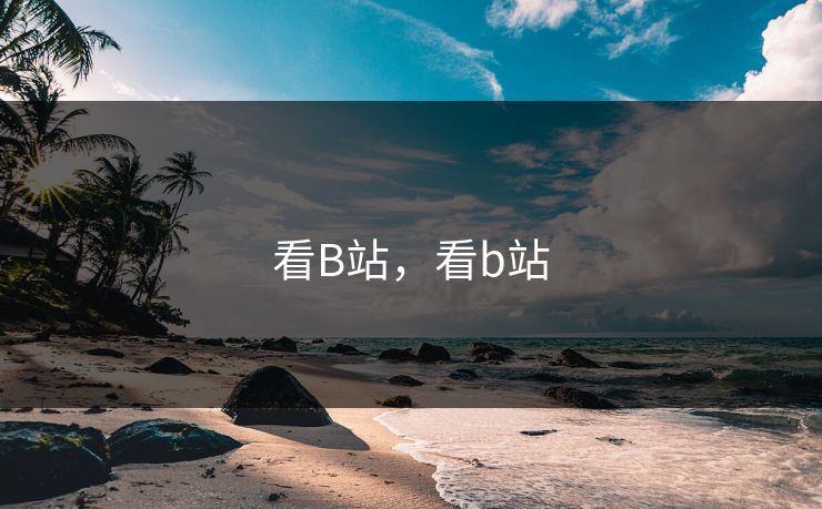 看B站，看b站