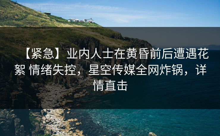 【紧急】业内人士在黄昏前后遭遇花絮 情绪失控，星空传媒全网炸锅，详情直击