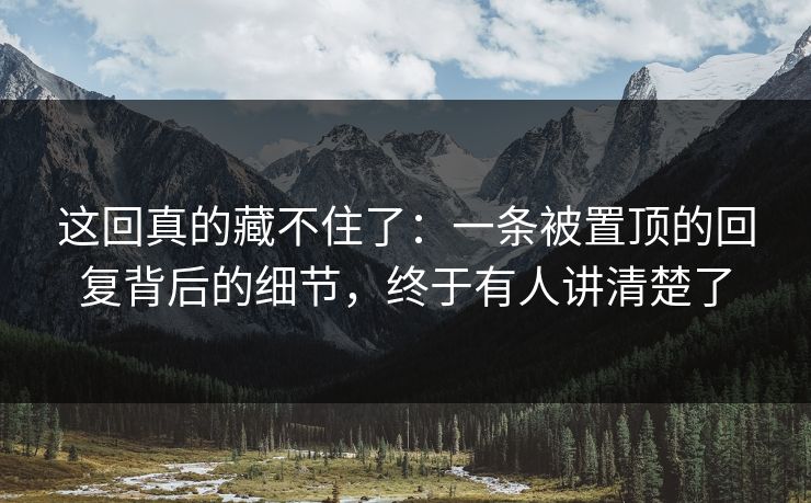 这回真的藏不住了：一条被置顶的回复背后的细节，终于有人讲清楚了