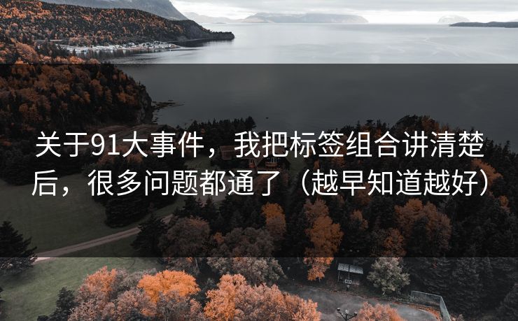 关于91大事件，我把标签组合讲清楚后，很多问题都通了（越早知道越好）