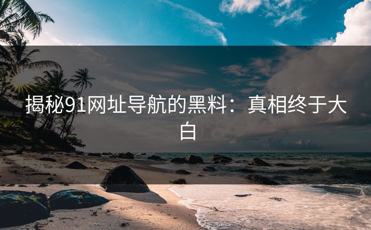 揭秘91网址导航的黑料：真相终于大白